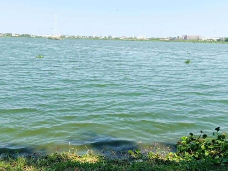 Vecinos de Laguna Real denuncian contaminación en laguna, hay criaderos de cochinos