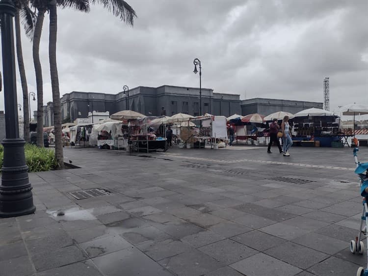 Lamentan artesanos comercio informal en Malecón de Veracruz (+Video)