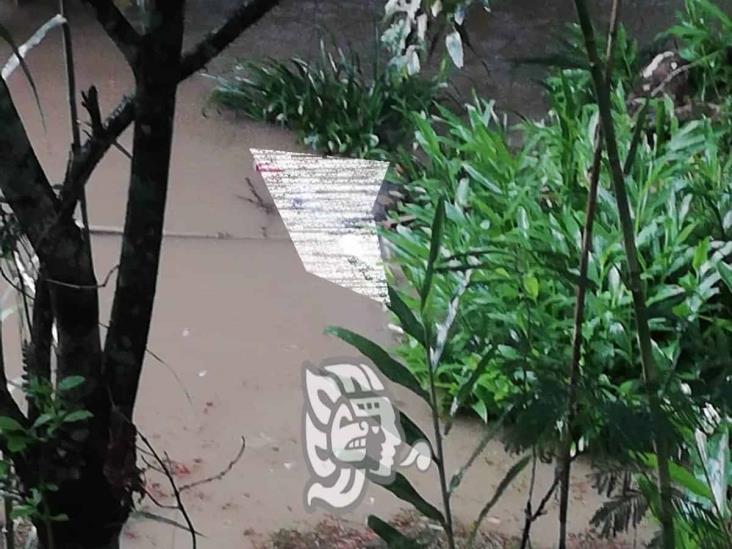 Hallan cuerpo flotando en río de Tlilapan