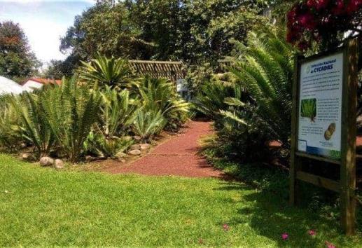 Jardín botánico Francisco Javier Clavijero, 