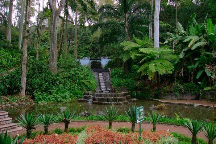 Jardín botánico Francisco Javier Clavijero, museo al aire libre