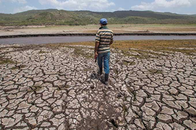 En 2050, el 75% de la población mundial amenazada por sequía: ONU