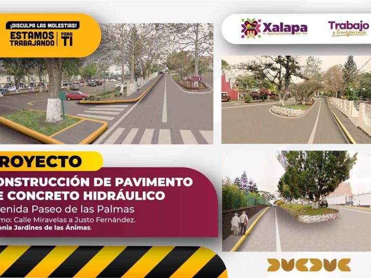 Por obras, habrá cambios viales en Paseo de las Palmas en Xalapa