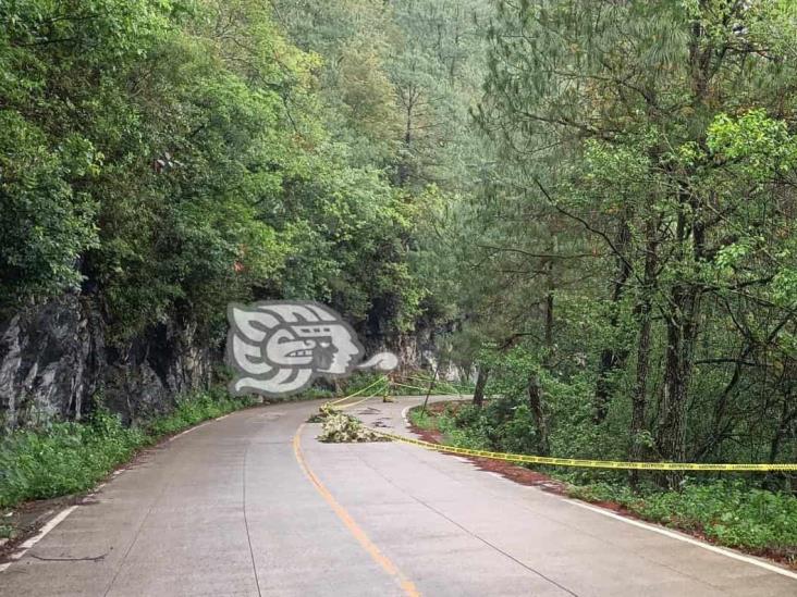 Ante derrumbes y socavones, cierran carril de carretera Tequila-Tehuipango