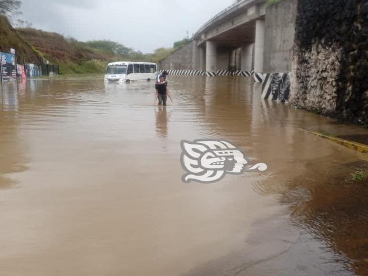 Fotogalería: por fuertes lluvias en Xalapa, activado el Plan Tajín