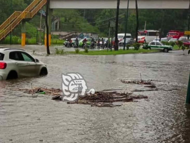 Captación de agua de lluvia debe implementarse ya, falta agua: IP