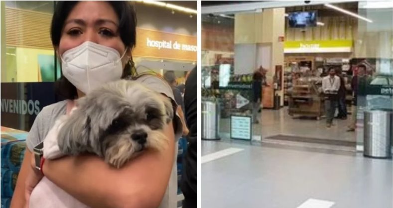 Conocida tienda de animales corta el ojo de una perrita