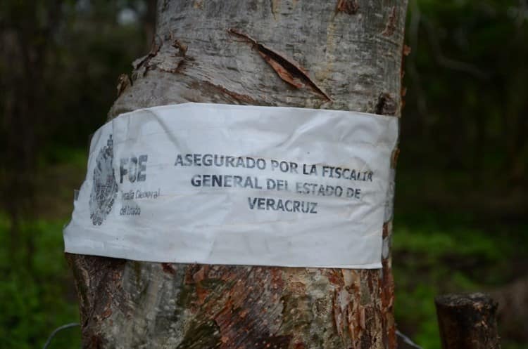 FGE Veracruz impide acceso a colectivos en predio La Posta