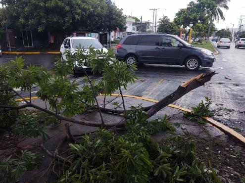 Sin afectaciones graves por lluvias en Veracruz: Gobernador