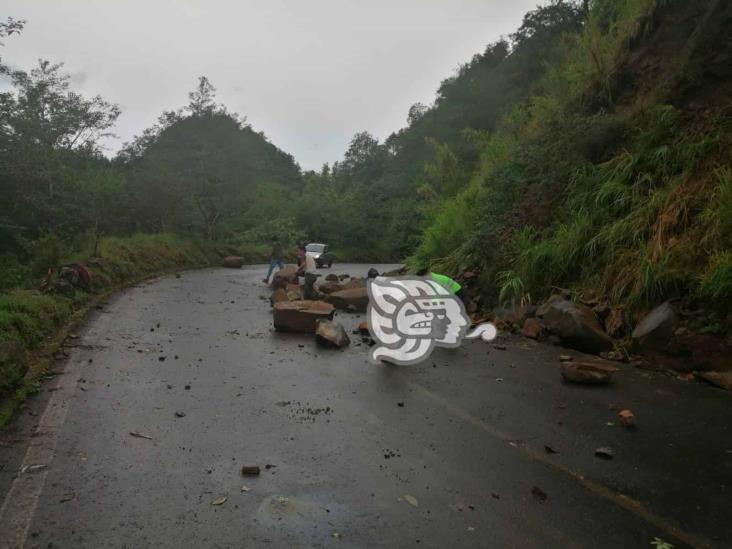 Derrumbe sobre la carretera Misantla a Xalapa tras lluvias