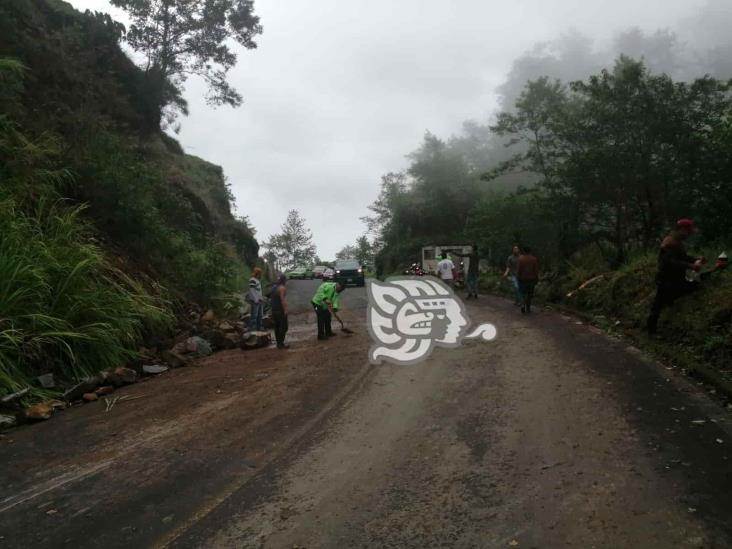 Derrumbe sobre la carretera Misantla a Xalapa tras lluvias