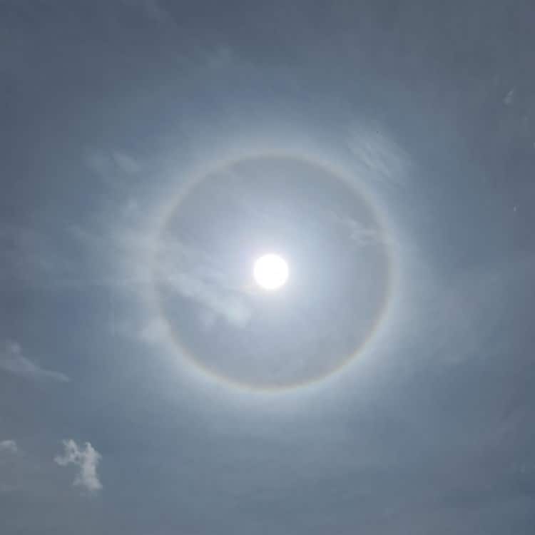 (+Video) Halo solar sorprende a chilangos este jueves