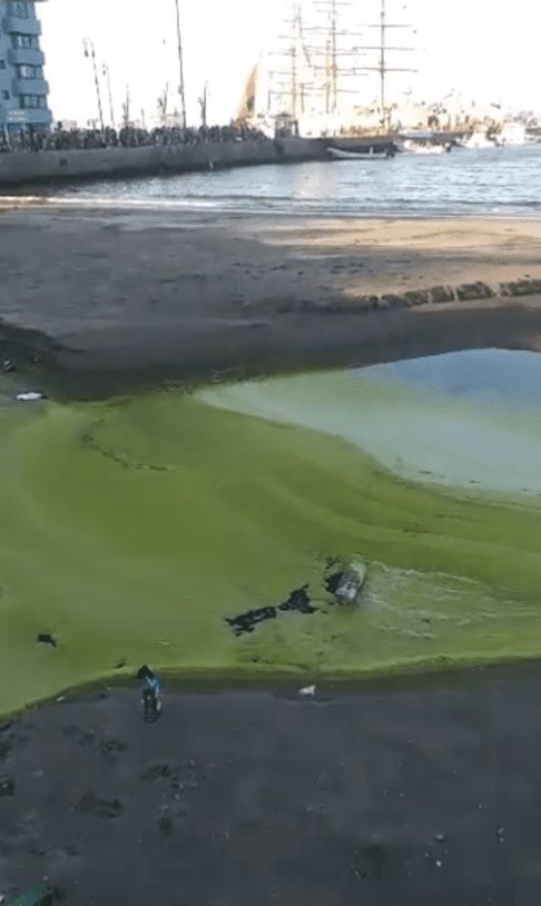 Denuncian descarga de aguas negras en Playa Regatas, en Veracruz (+Video)