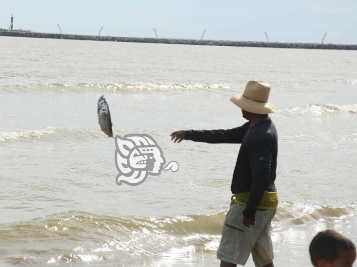 Atrás quedaron los tiempos de abundancia pesquera en Coatzacoalcos