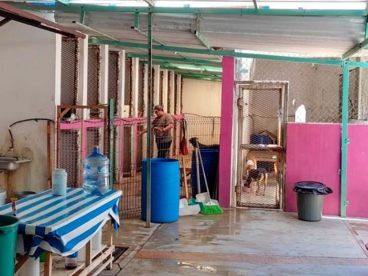 Ayuntamiento de Coatzacoalcos trabaja a favor del Centro de Control Animal