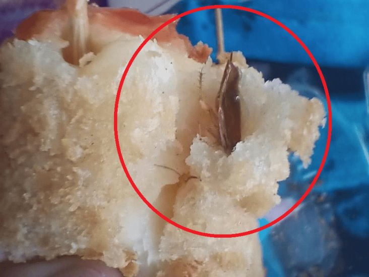 ¡Insólito! Joven masticó por accidente una cucaracha que encontró en su comida china