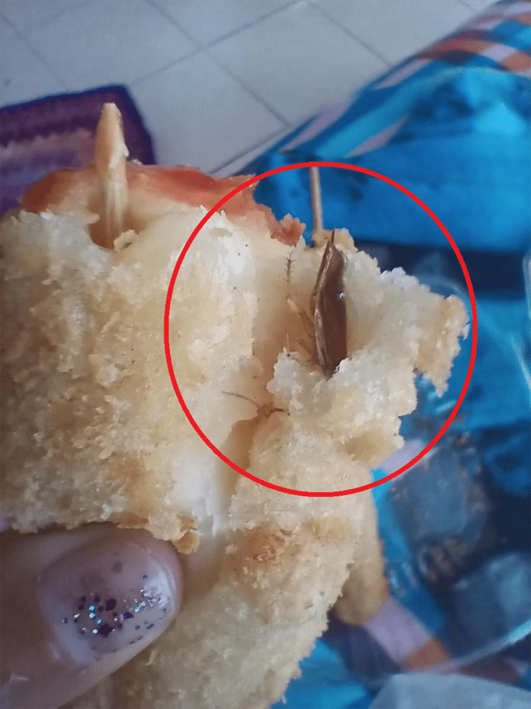 ¡Insólito! Joven masticó por accidente una cucaracha que encontró en su comida china