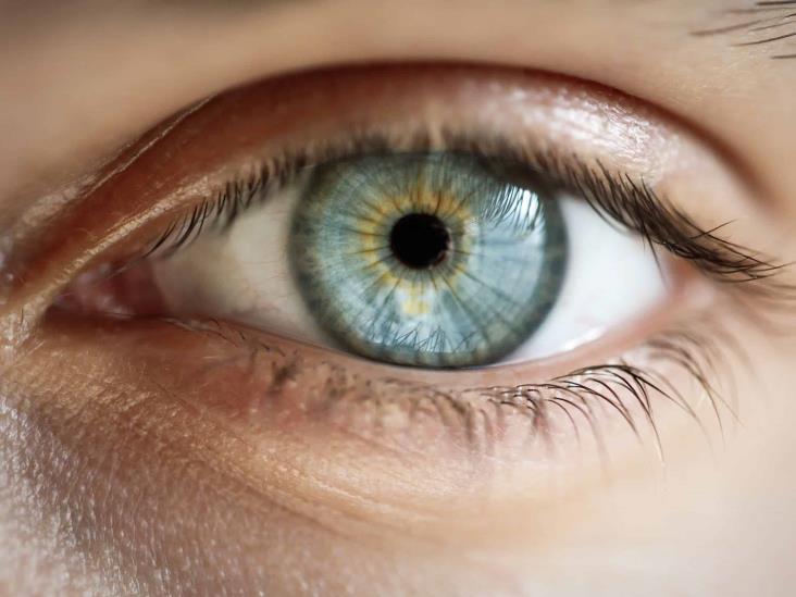 Ahora el TEA y TDAH podrá diagnosticarse por los ojos: estudio