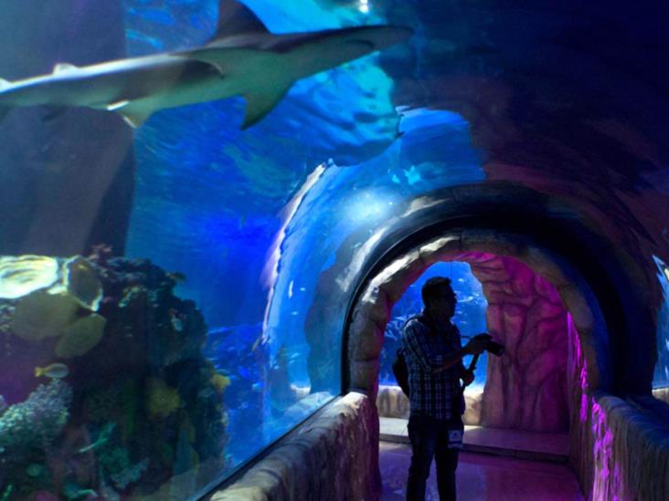 Prevén aumento de visitantes a Plaza Acuario por vacaciones de verano