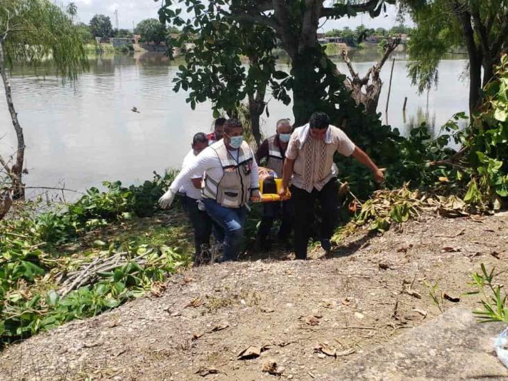 Cae hombre de más de 5 metros de altura mientras derramaba un árbol en Cosamaloapan