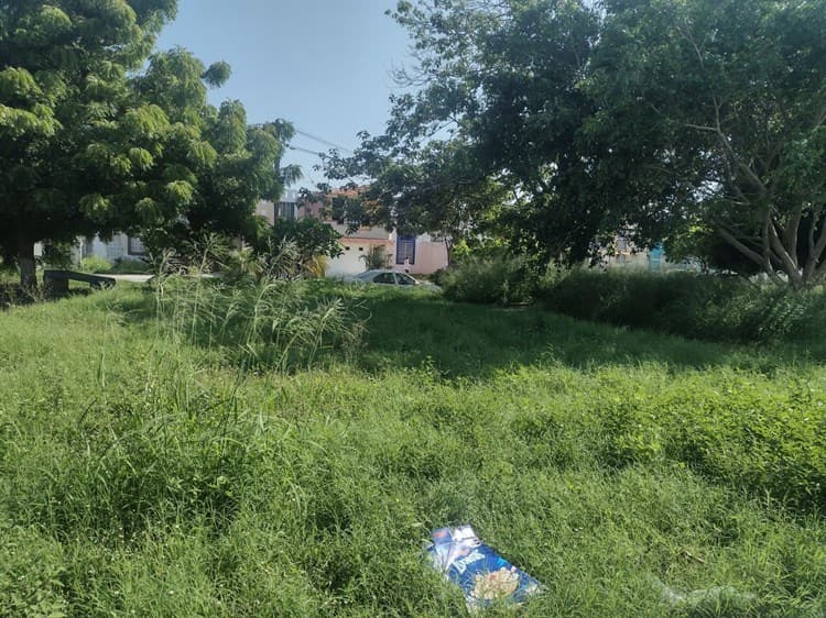 En Medellín, vecinos denuncian que maleza cubre gran parte de un parque concurrido