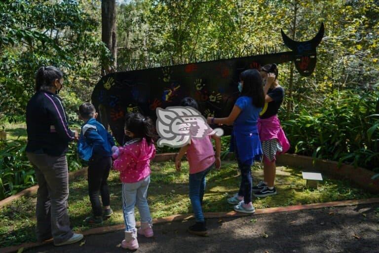 Jardín de las Esculturas de Xalapa da bienvenida a julio con talleres para niños