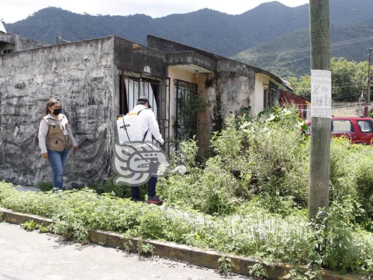 En Río Blanco, realizan fumigación para prevenir plaga de garrapatas