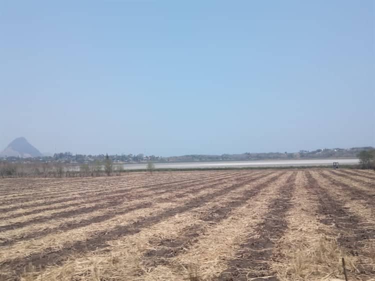 Agua, el bien codiciado de Veracruz, ya escasea