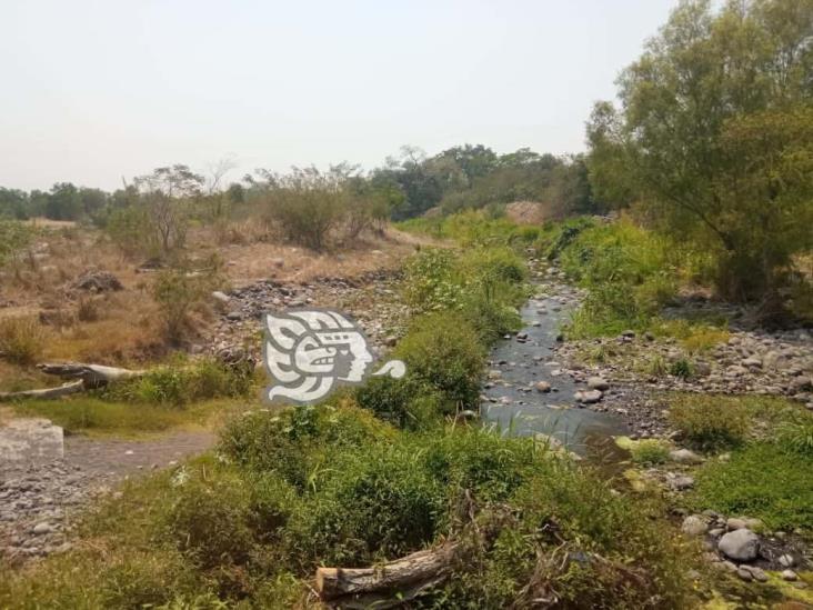 Agua, el bien codiciado de Veracruz, ya escasea