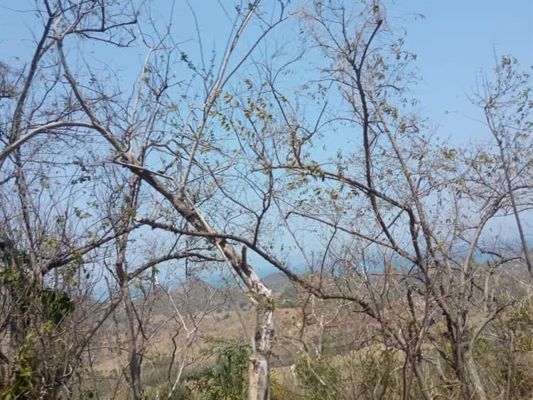 Agua, el bien codiciado de Veracruz, ya escasea