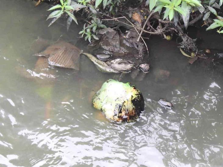 En Poza Rica, pedirán a Pemex saneamiento de arroyos por residuos de petróleo