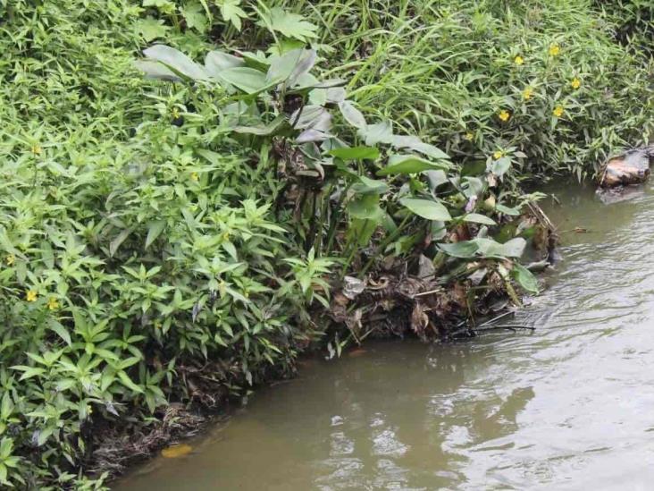 En Poza Rica, pedirán a Pemex saneamiento de arroyos por residuos de petróleo