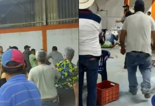 Pelea de gallos clandestina termina en golpes
