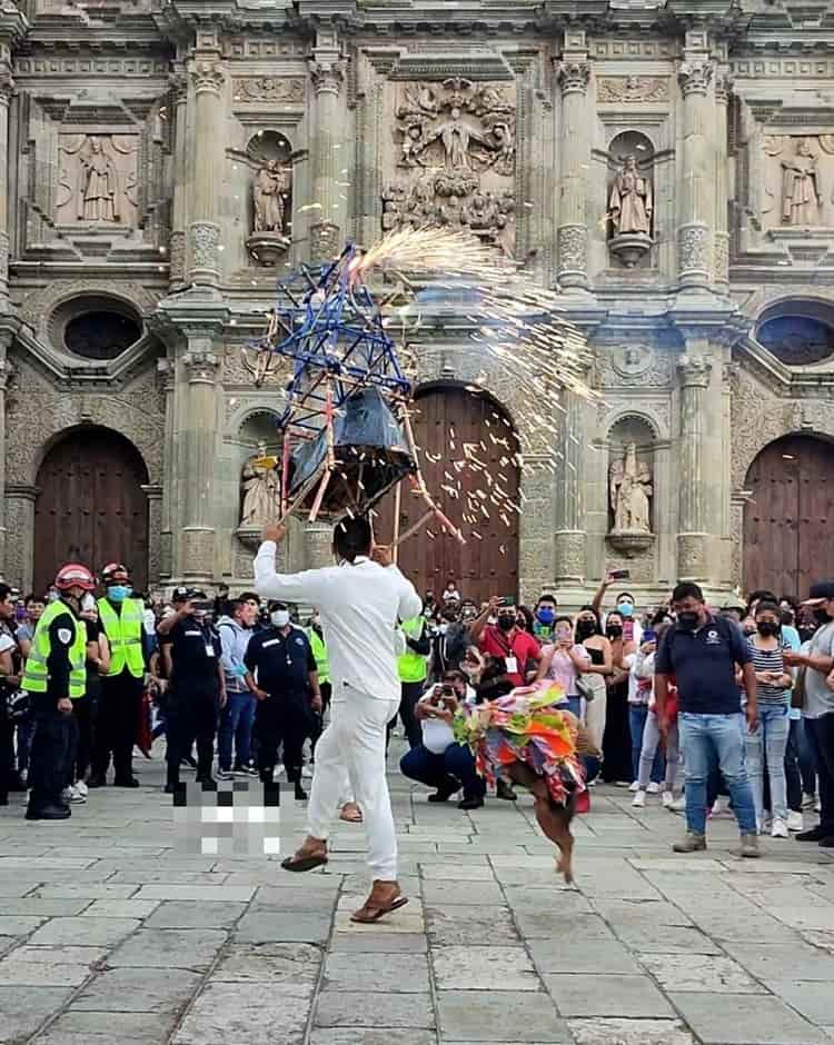 Reaparece “Mazapán” el perro que baila en la Guelaguetza en Oaxaca(+video)