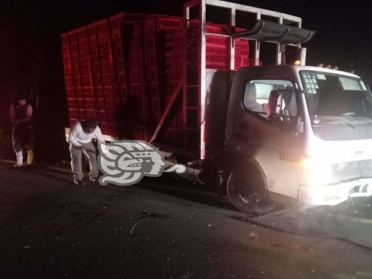 Vuelca camión cargado con pollos en la autopista Córdoba-Veracruz
