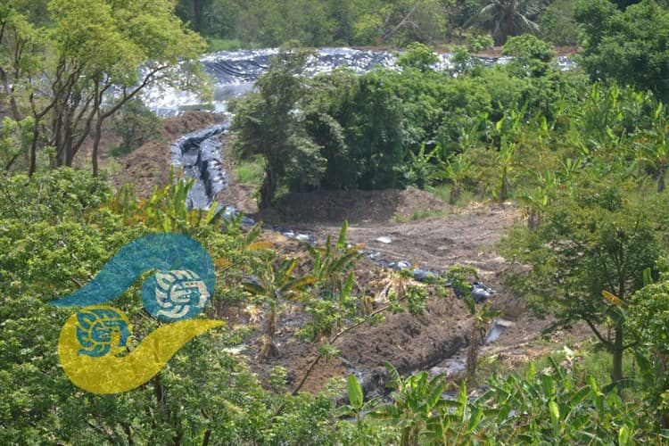 Fuga en pozo de Pemex arrasó con cultivos al norte de Veracruz