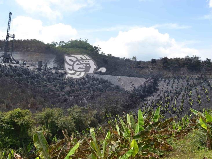 Fuga en pozo de Pemex arrasó con cultivos al norte de Veracruz
