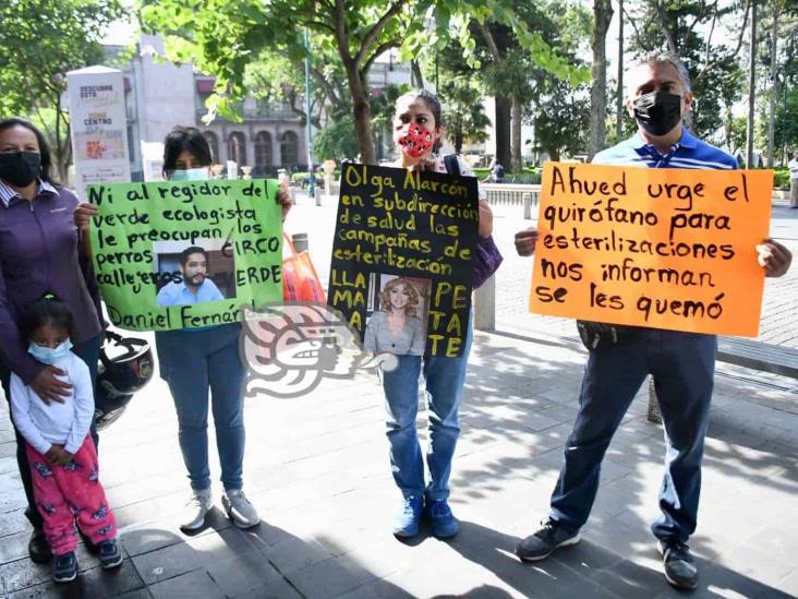 Urge reinicien campañas de esterilización animal en Xalapa, quirófano móvil se quemó