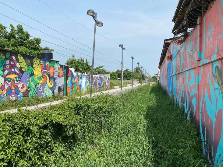 Entre maleza e inseguridad, así viven habitantes en colonia Las Amapolas en Veracruz