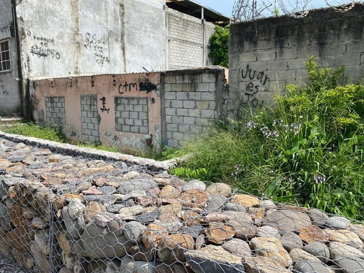 Entre maleza e inseguridad, así viven habitantes en colonia Las Amapolas en Veracruz