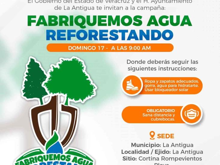 En La Antigua, realizarán Jornada de Reforestación ´Fabriquemos Agua Reforestando´