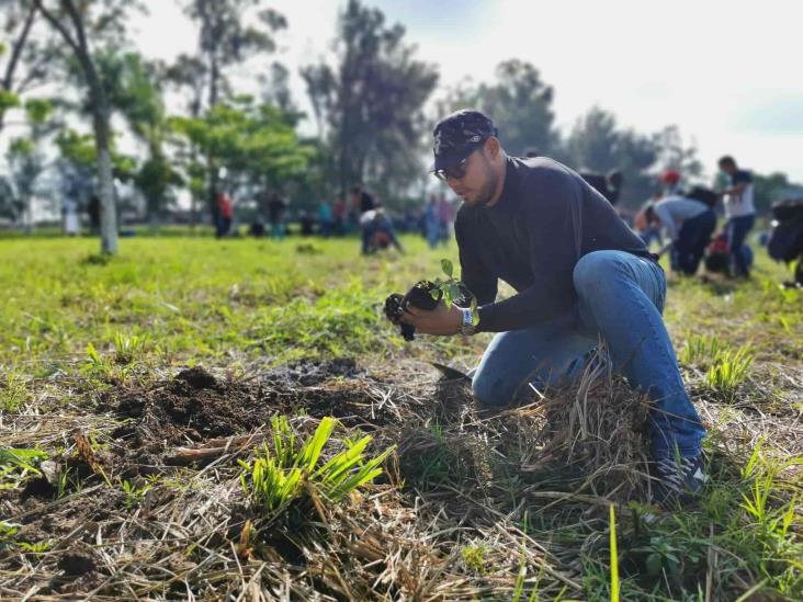 En Emiliano Zapata, reforestan la Laguna de Miradores