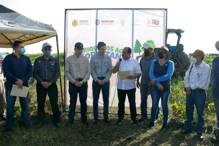 En La Antigua, realizan campaña ´Fabriquemos Agua Reforestando´