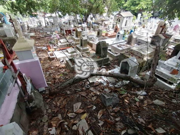 Podrían exhumar al menos 500 cuerpos del panteón municipal de Veracruz