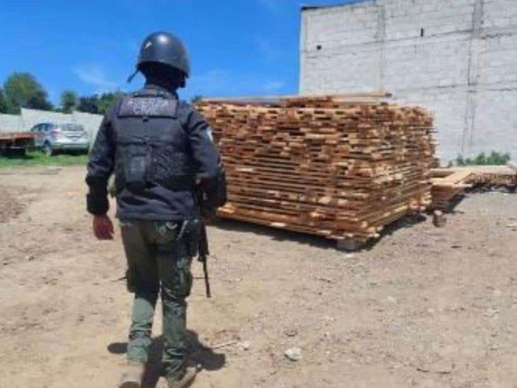 Aseguran SSP y PROFEPA aserradero clandestino en Jalacingo