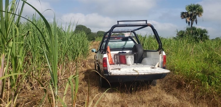 Hombre muere de un infarto cuando realizaba labores en el campo en Cosamaloapan