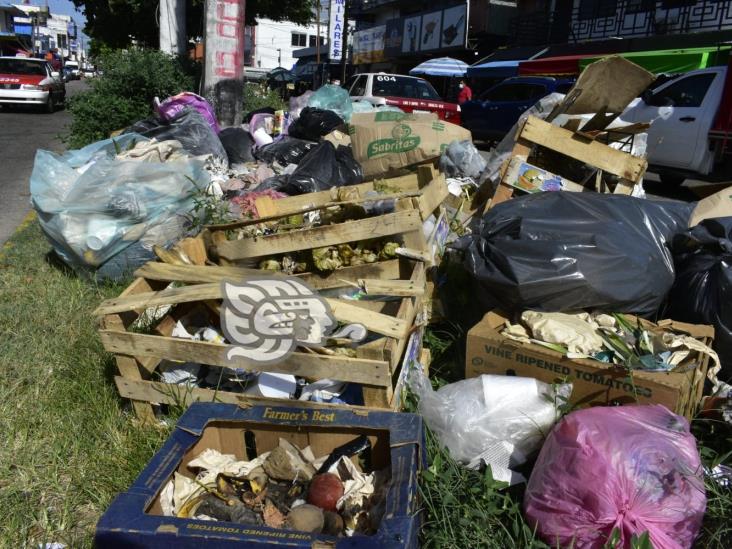 Más de 7 días lleva acumulada basura en avenida de Coatzacoalcos