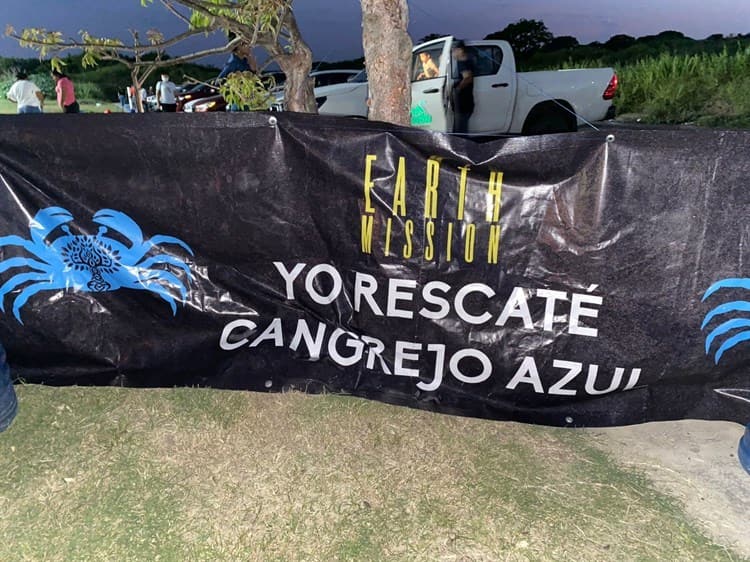 Faltan voluntarios para salvar cangrejos en la Riviera Veracruzana