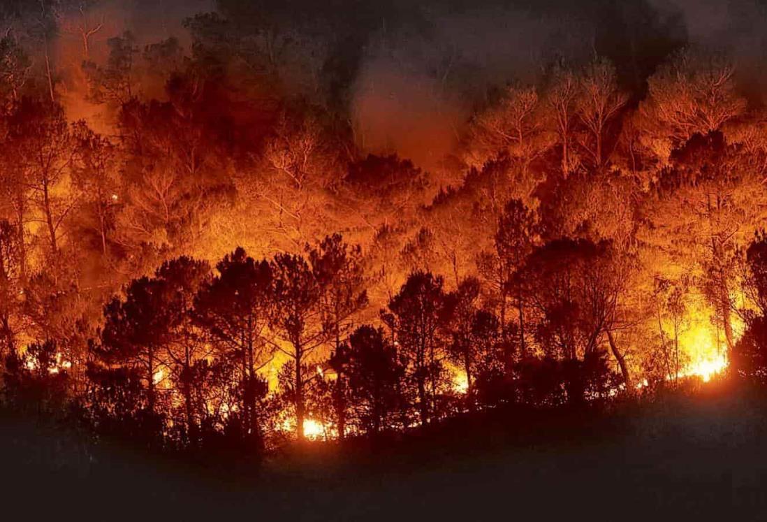 Alaska arde como nunca antes por incendios forestales