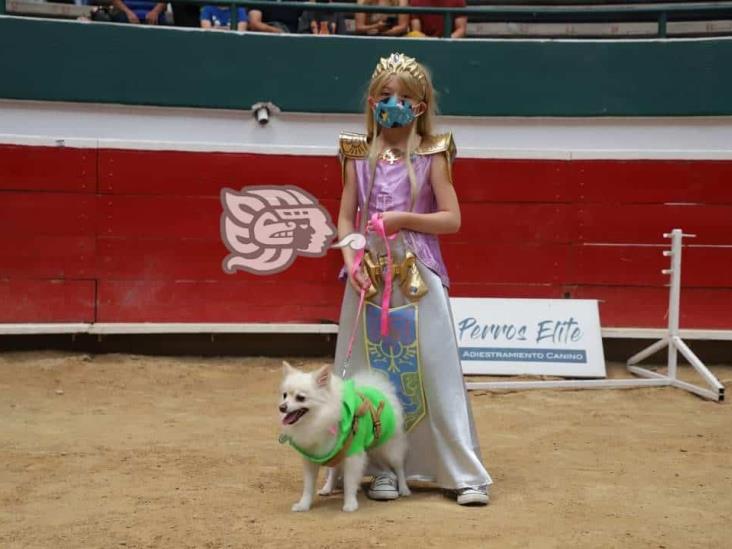 Realizan expo canina en el coliseo de Orizaba
